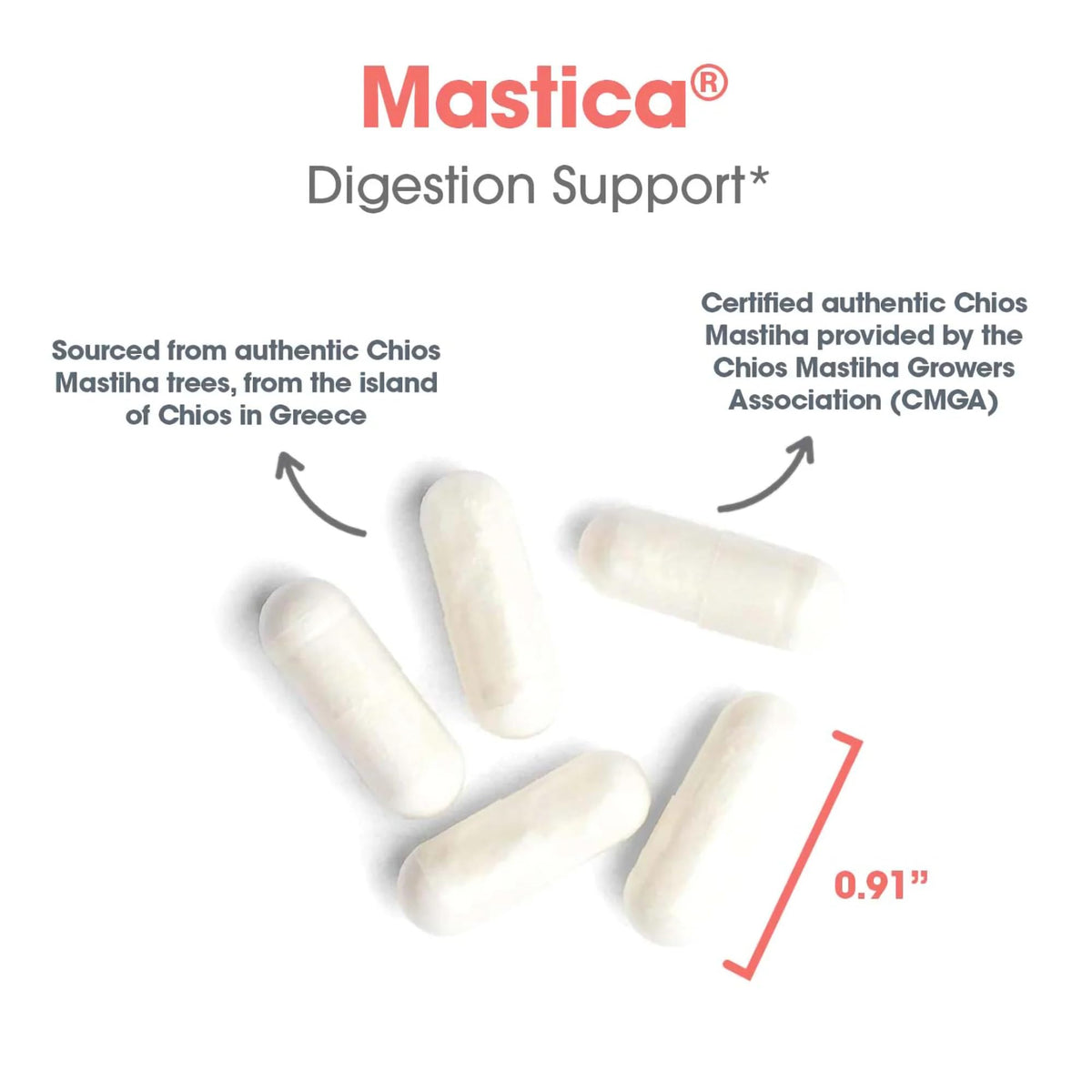 Allergy Research Group Mastica Chios Mastic Gum Resin 60 Capsules close-up of capsules