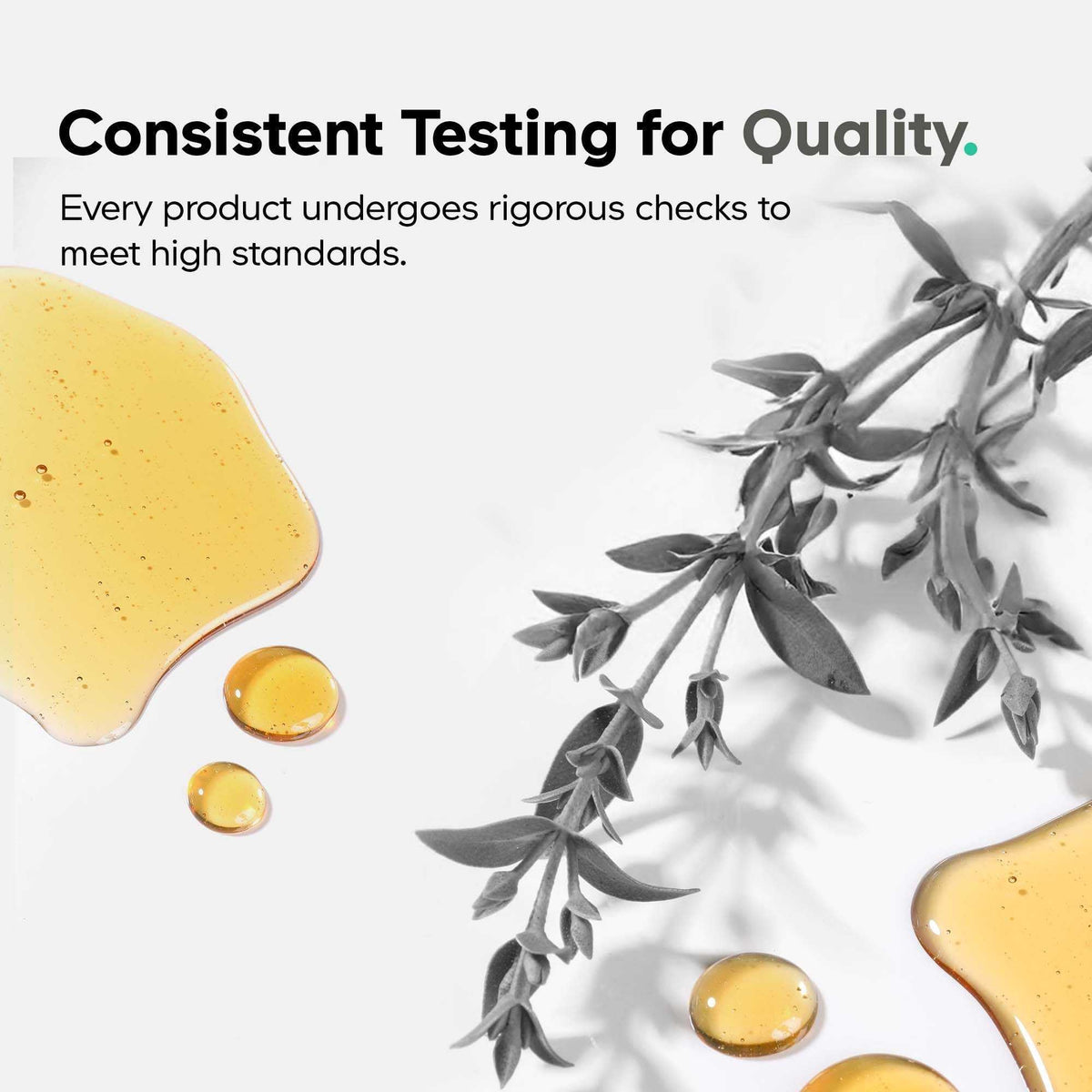 Amen Algal Oil Vegan Omega-3 Supplement nutrient facts