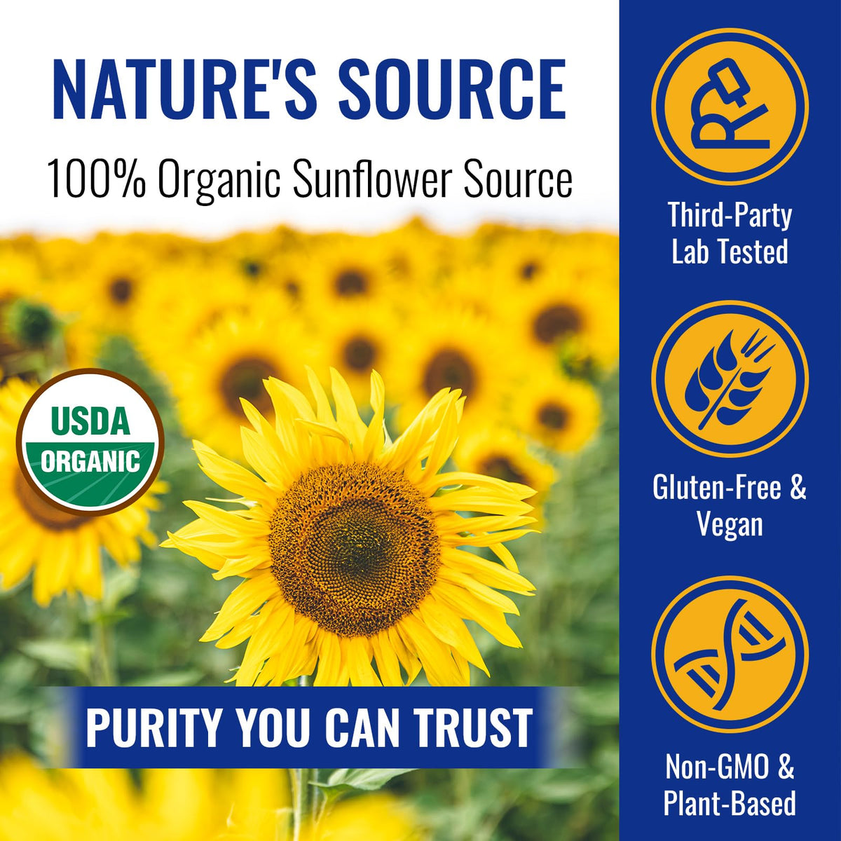 Angtai JN Organic Sunflower Lecithin Powder scoop included