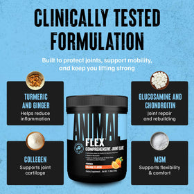 Animal Flex Powder displayed with fitness equipment