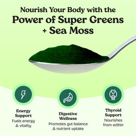 Atlantic Naturals Sea Moss Powder with fruits and vegetables