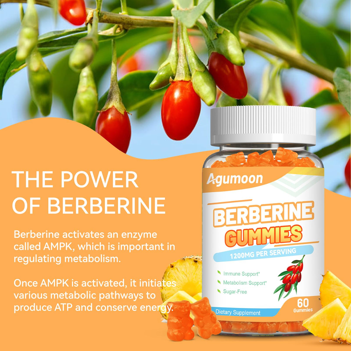 Back of Agumoon Berberine Gummies packaging with ingredient list