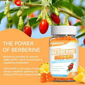 Back of Agumoon Berberine Gummies packaging with ingredient list