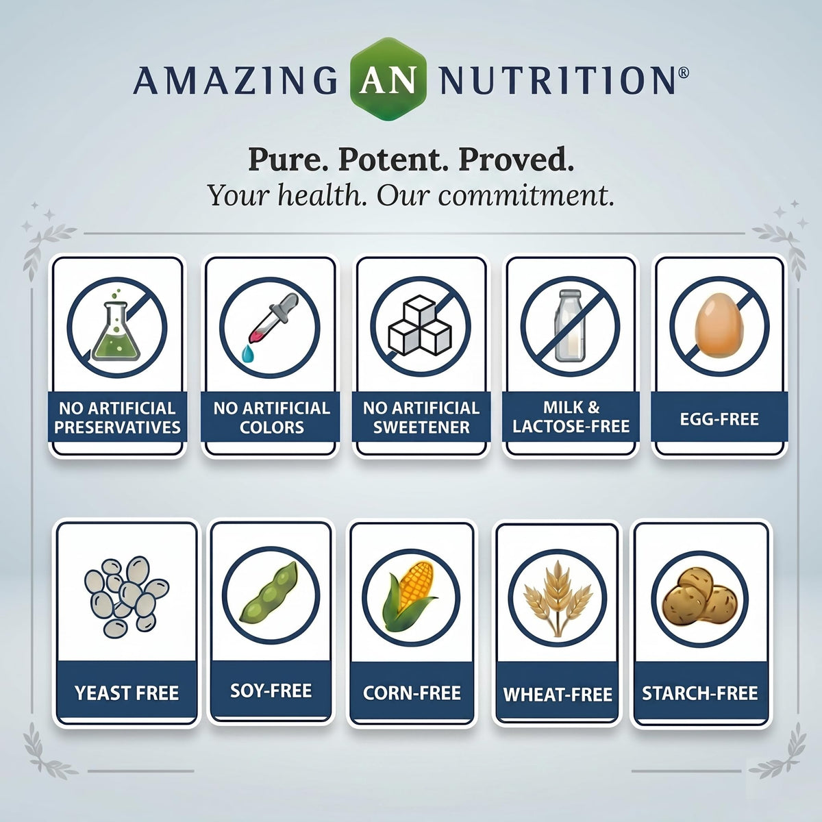 Back view of Amazing Nutrition Alpha Lipoic Acid 600 Mg supplement