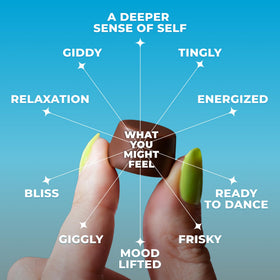 Back view of Shrumfuzed Mushroom Chocolate packaging with ingredients