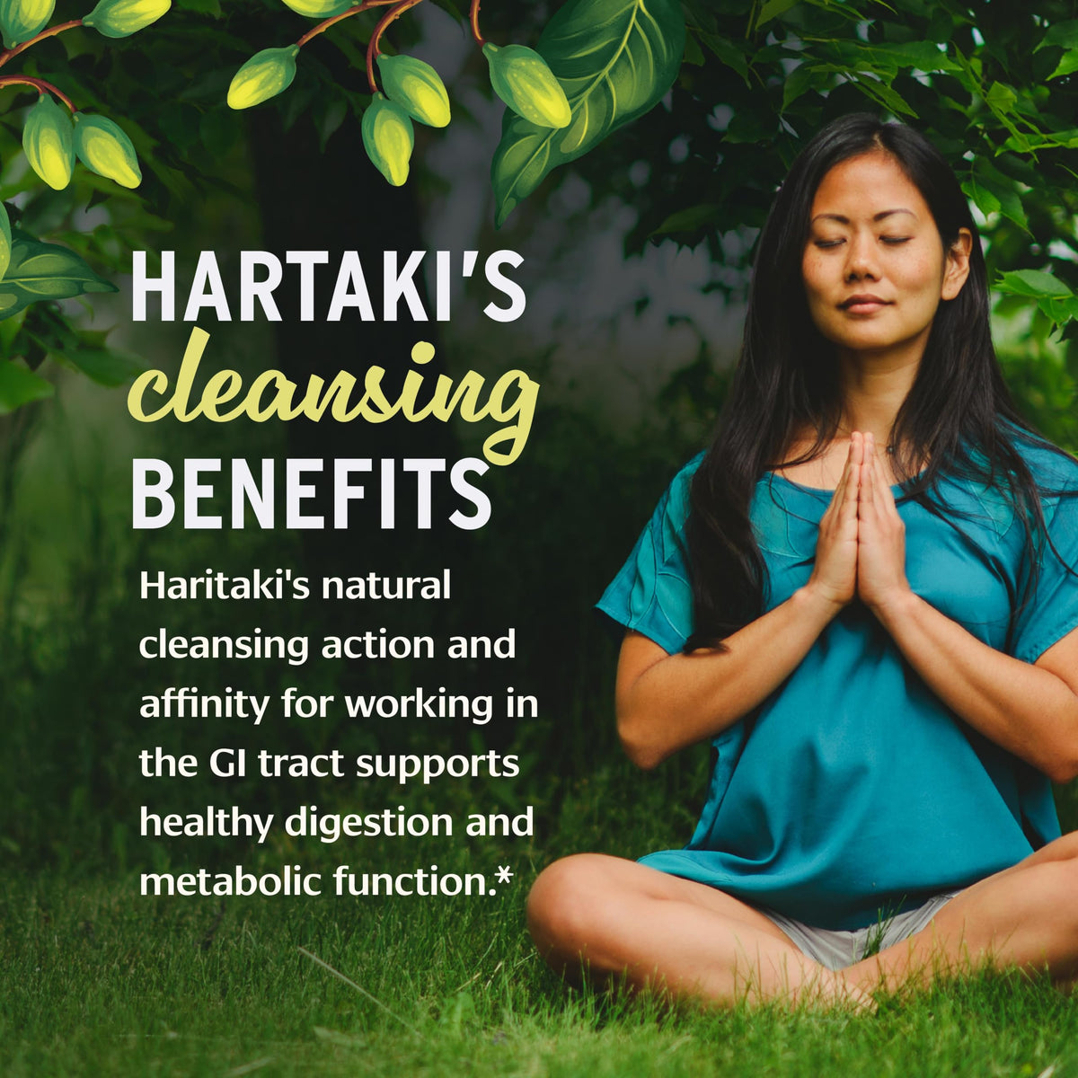 Banyan Botanicals Organic Haritaki Powder 1lb serving suggestion