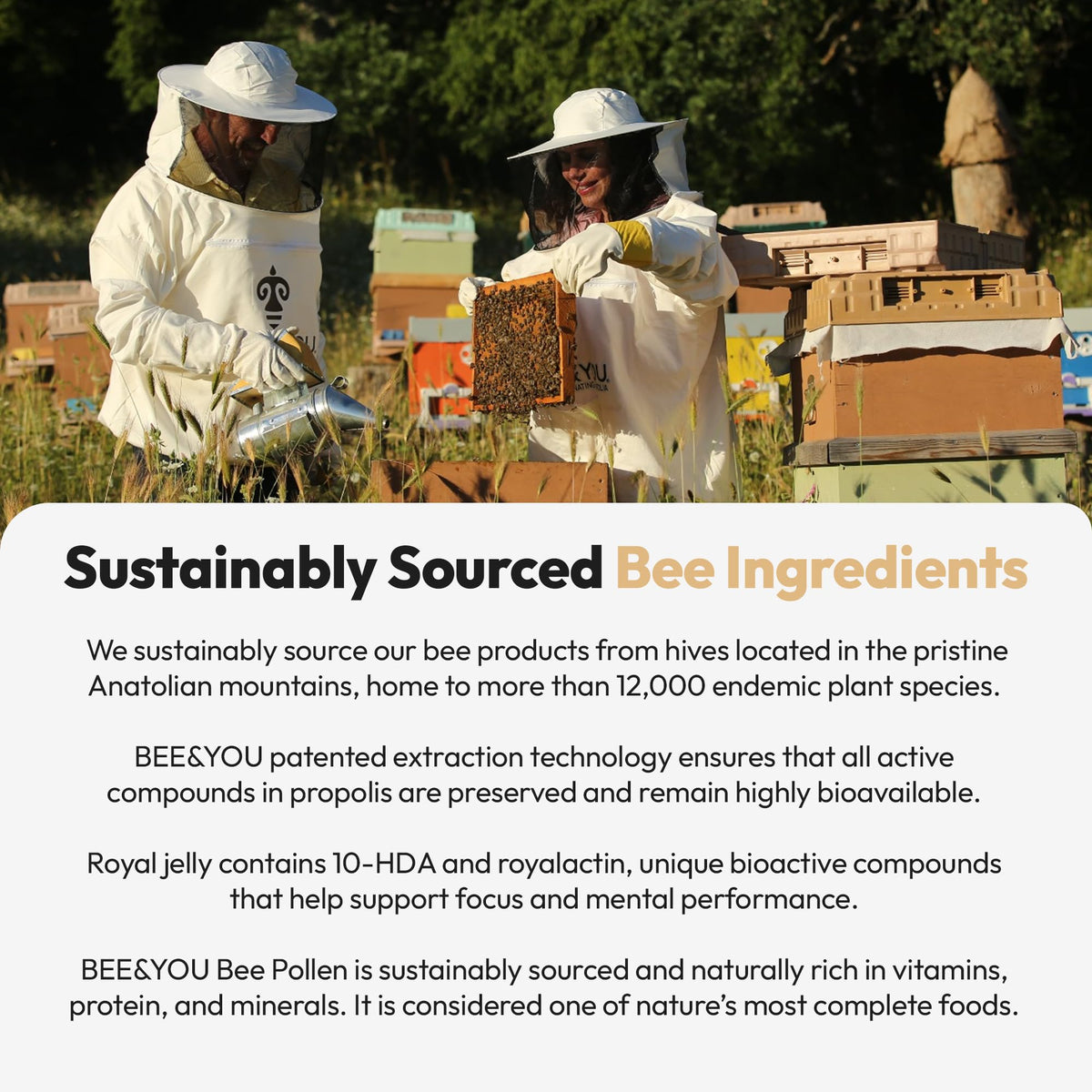BEE & YOU Royal Jelly Tablet packaging details