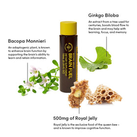 Beekeeper's Naturals Royal Jelly Brain Fuel vials in a lifestyle setting