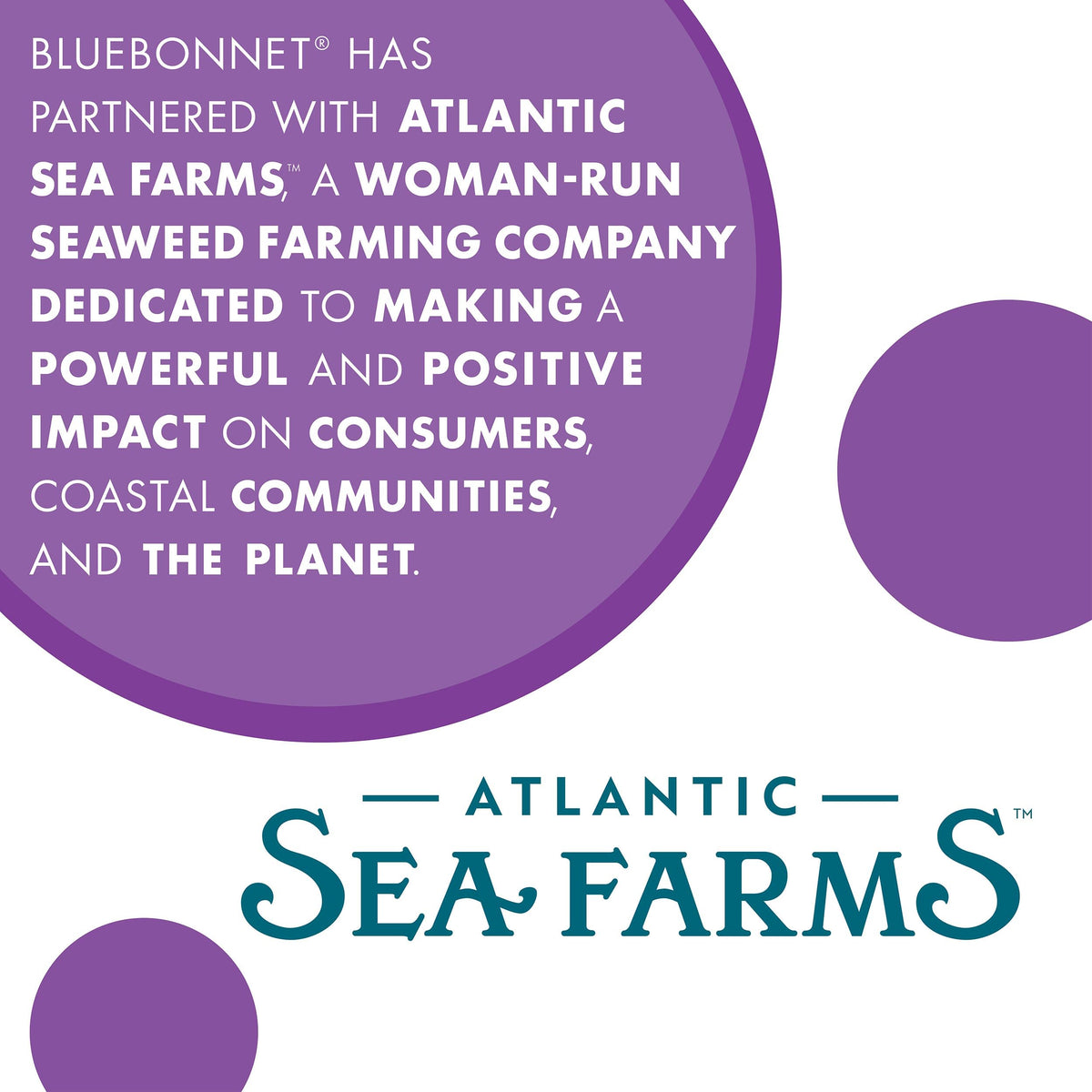 BlueBonnet Atlantic Sea Kelp Iodine 225 mcg bottle with label