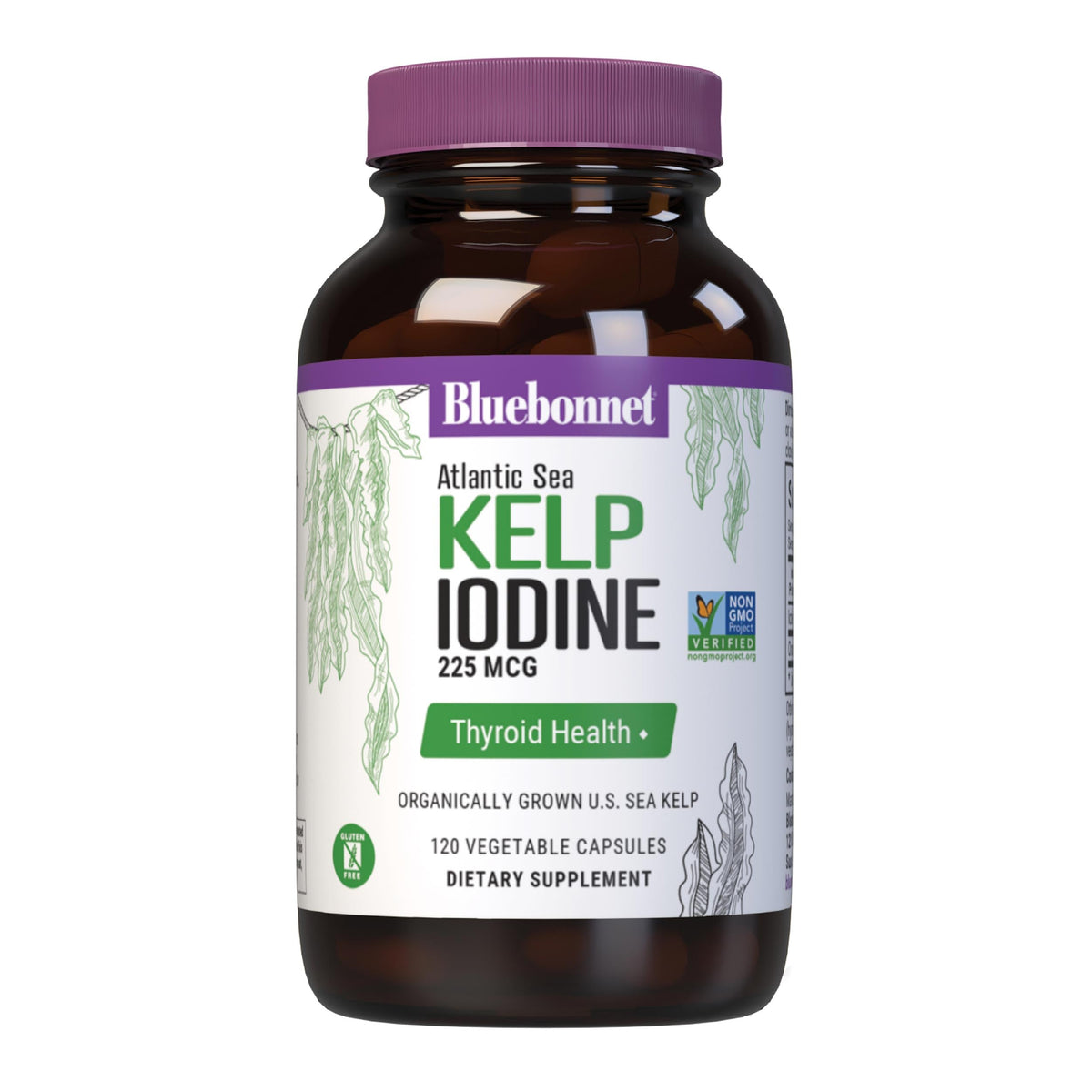 BlueBonnet Atlantic Sea Kelp Iodine 225 mcg front view
