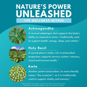 Bold Botanica Ashwagandha Supplement 150g with tree planting initiative