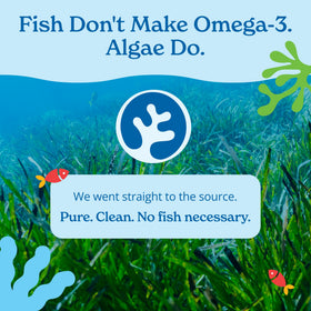 Calgee Algae Omega 3 Supplement label close-up