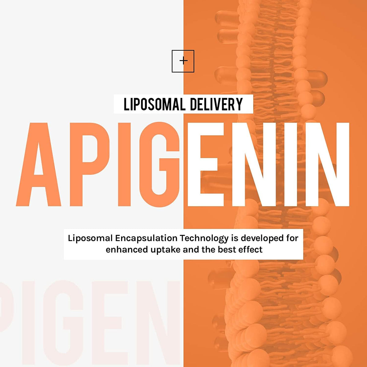 Cenffitio Liposomal Apigenin 500mg Softgels side view