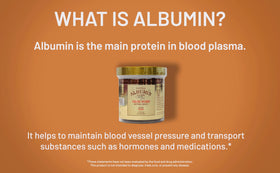 CGMLABS Natural Albumin Forte Deer Horn Royal Jelly softgel close-up
