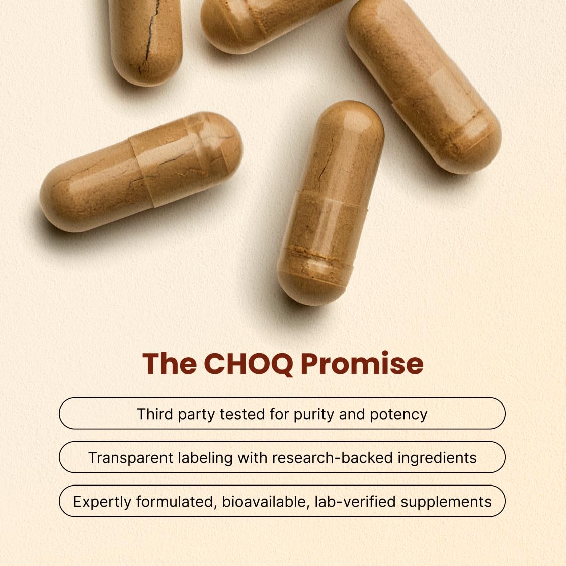CHOQ Daily Supplement 500mg Shilajit back view with ingredient list