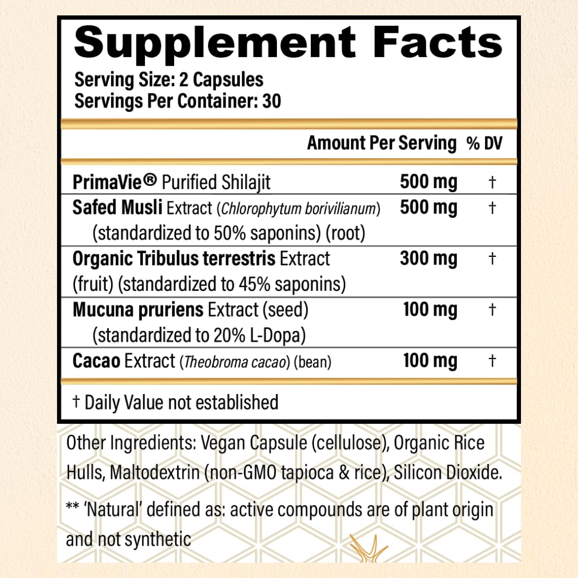 CHOQ Daily Supplement 500mg Shilajit close-up of capsules