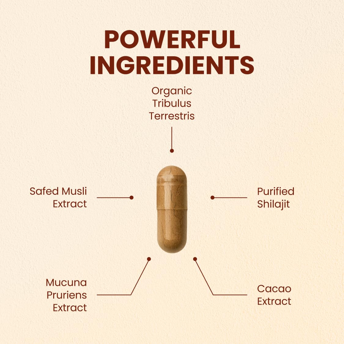 CHOQ Daily Supplement 500mg Shilajit side view showing capsule