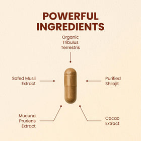 CHOQ Daily Supplement 500mg Shilajit side view showing capsule