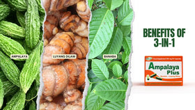 Close-up of Ampalaya Plus 550mg capsules
