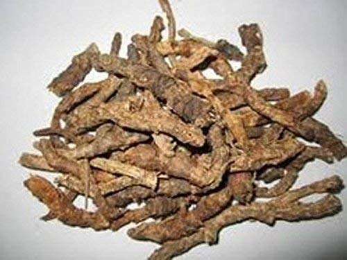 Close-up of Harmony Nutraceuticals Kutki capsules