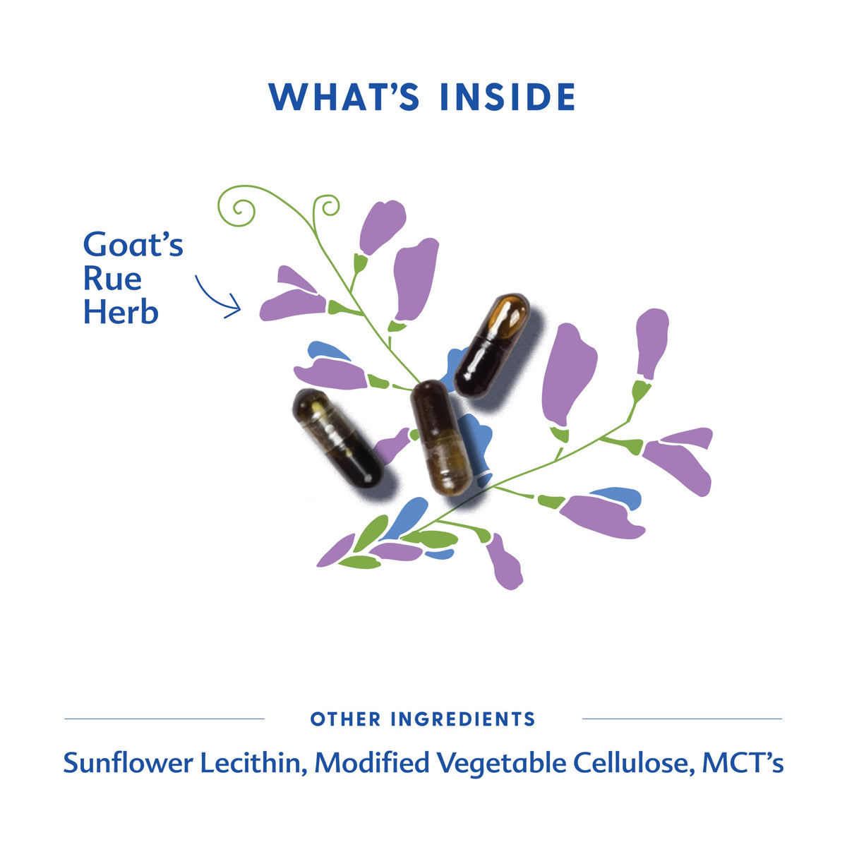 Close-up of Motherlove Goat’s Rue liquid capsule