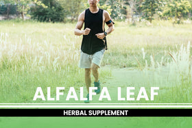 Close-up of PURE ORIGINAL INGREDIENTS Alfalfa Leaf Capsules showing capsule size
