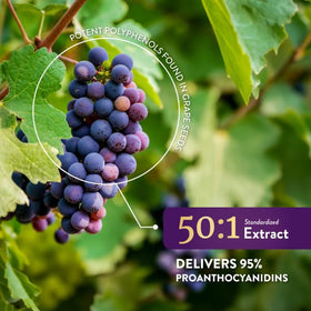 Close-up of Purely Holistic Grape Seed Extract Capsules