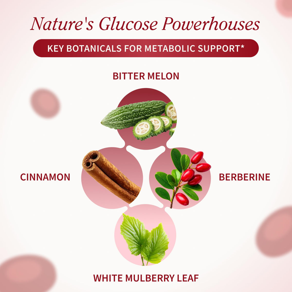 Close-up of Snap Supplements Blood Sugar Blend capsules