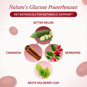 Close-up of Snap Supplements Blood Sugar Blend capsules