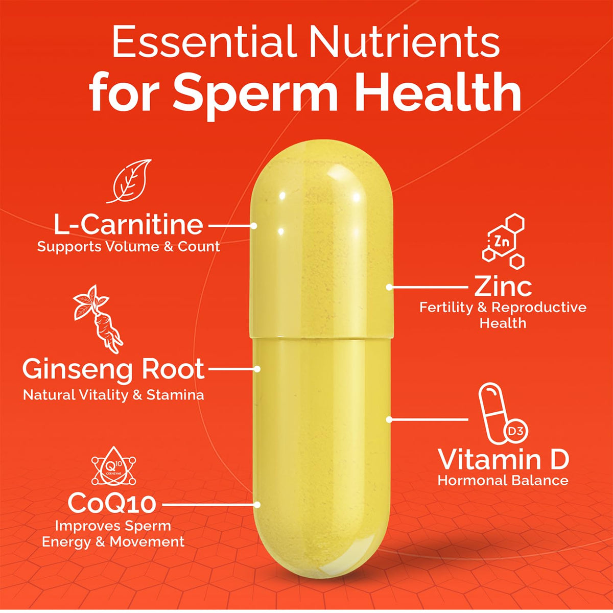 CONCEIVE PLUS Motility Support for Men 60 Capsules side view