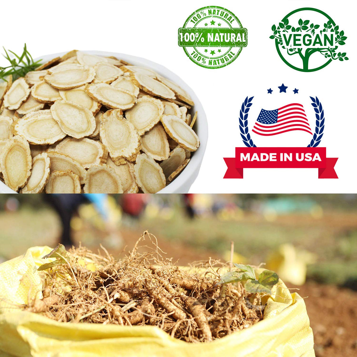 DABC OAK LAND American Ginseng Slices long strips