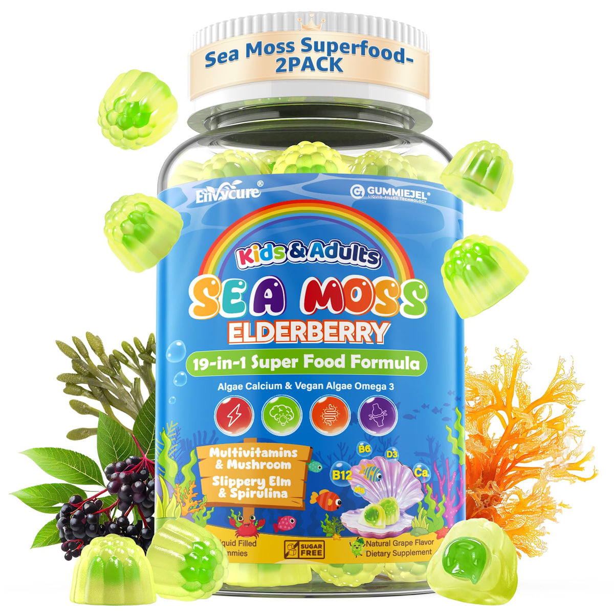 EnvyCure Sea Moss Gummies 2-pack front view with packaging