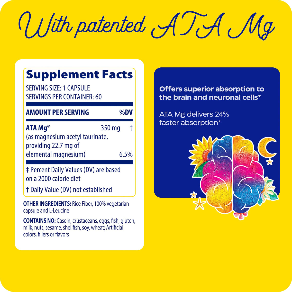 Enzymedica Magnesium Mind Supplement in a wellness setting