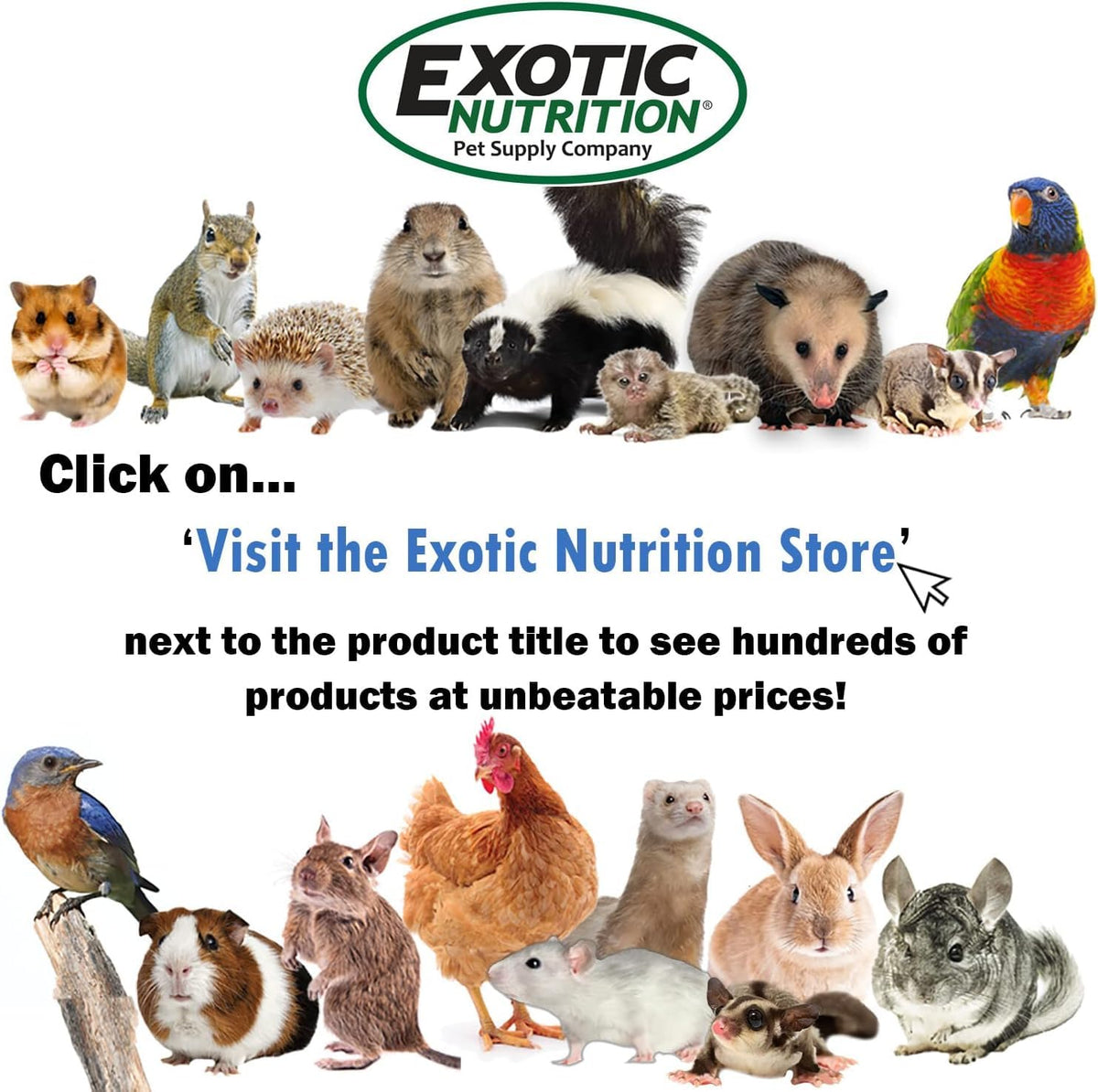 Exotic Nutrition Opossum-Cal container with fruits and