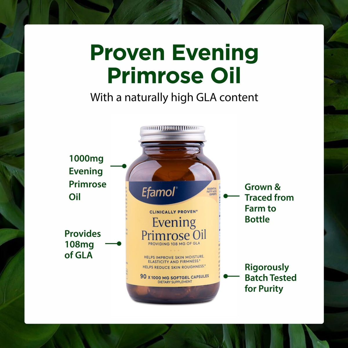 Flora Evening Primrose Oil 1000mg softgels in a natural setting