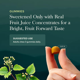 Gaia Herbs Turmeric Gummies Extra Strength nutritional information