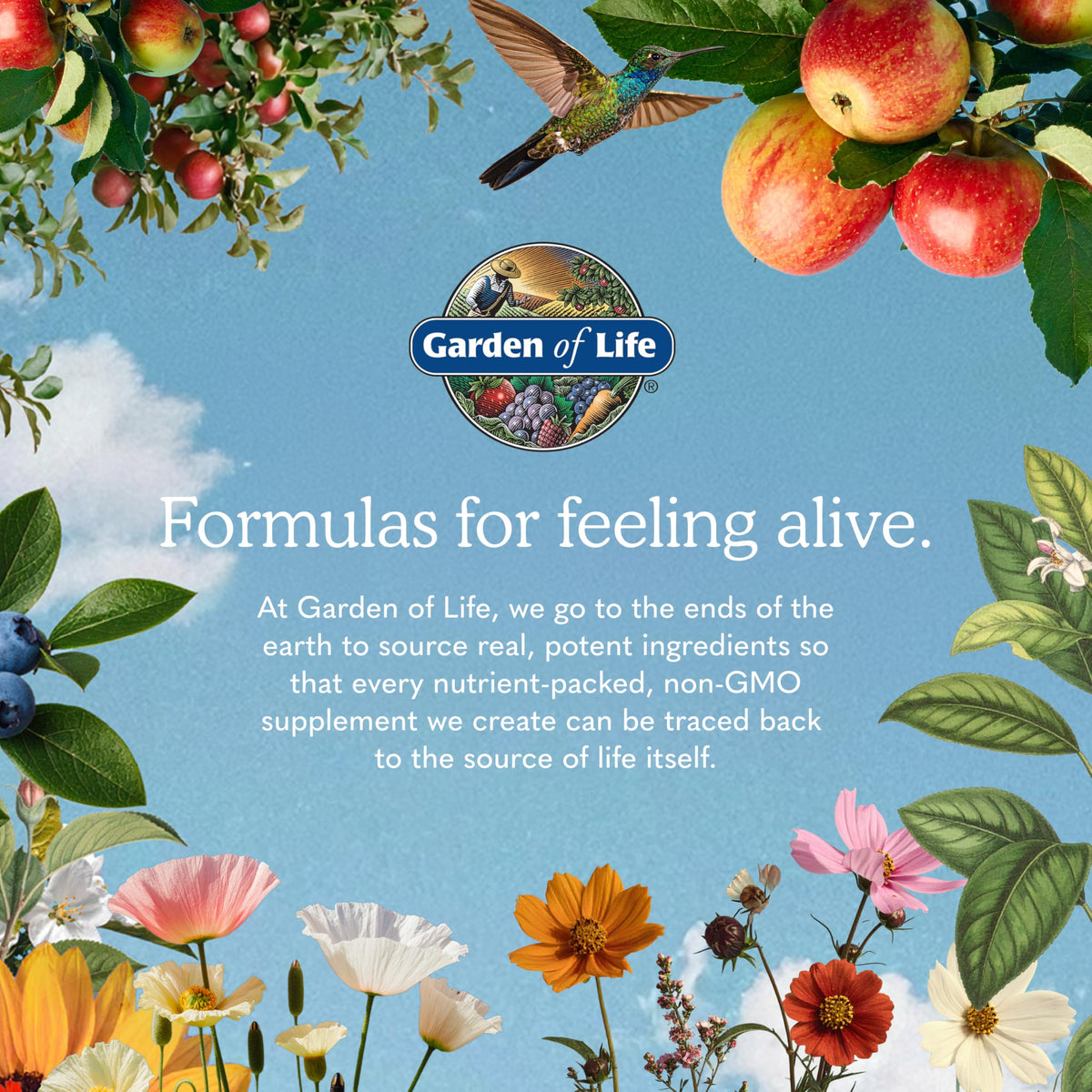 Garden of Life MCT Powder packaging details
