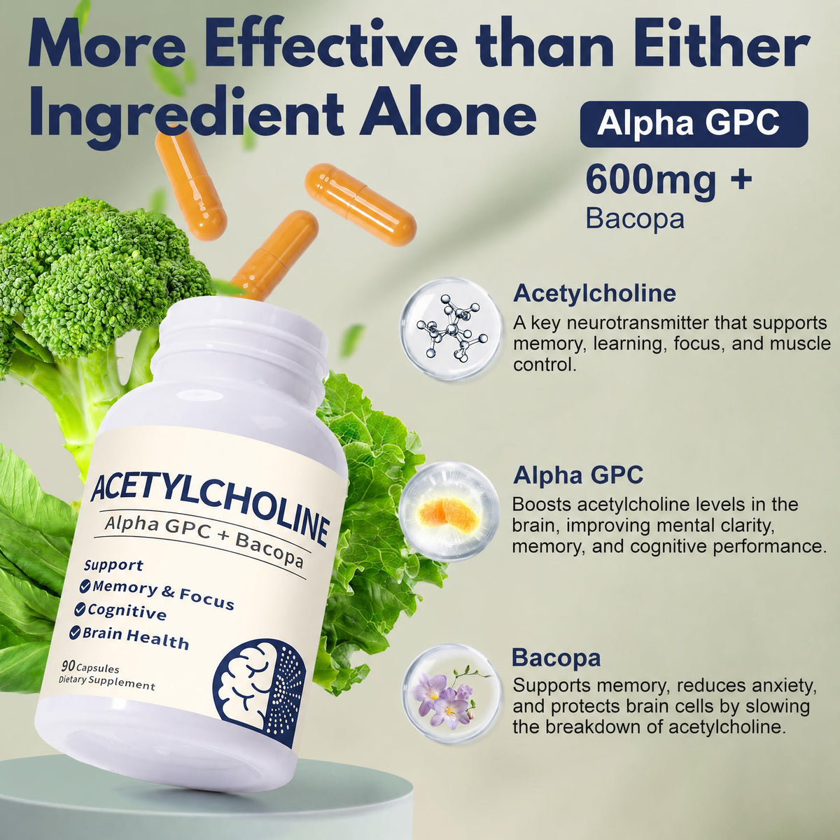 Guanshiya Acetylcholine Supplements with Alpha GPC and Bacopa ingredients
