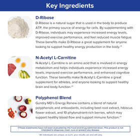 Gundry MD Energy Renew Supplement Passion Fruit Powder nutritional information