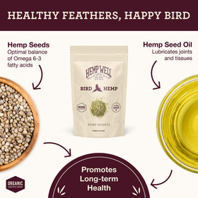 Hemp Well Organic Hemp Hearts close-up of seeds