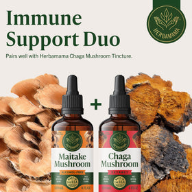 HERBAMAMA Maitake Mushroom Extract lifestyle scene