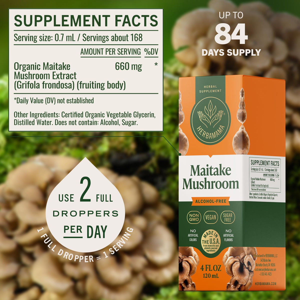 HERBAMAMA Maitake Mushroom Extract liquid drops in a glass