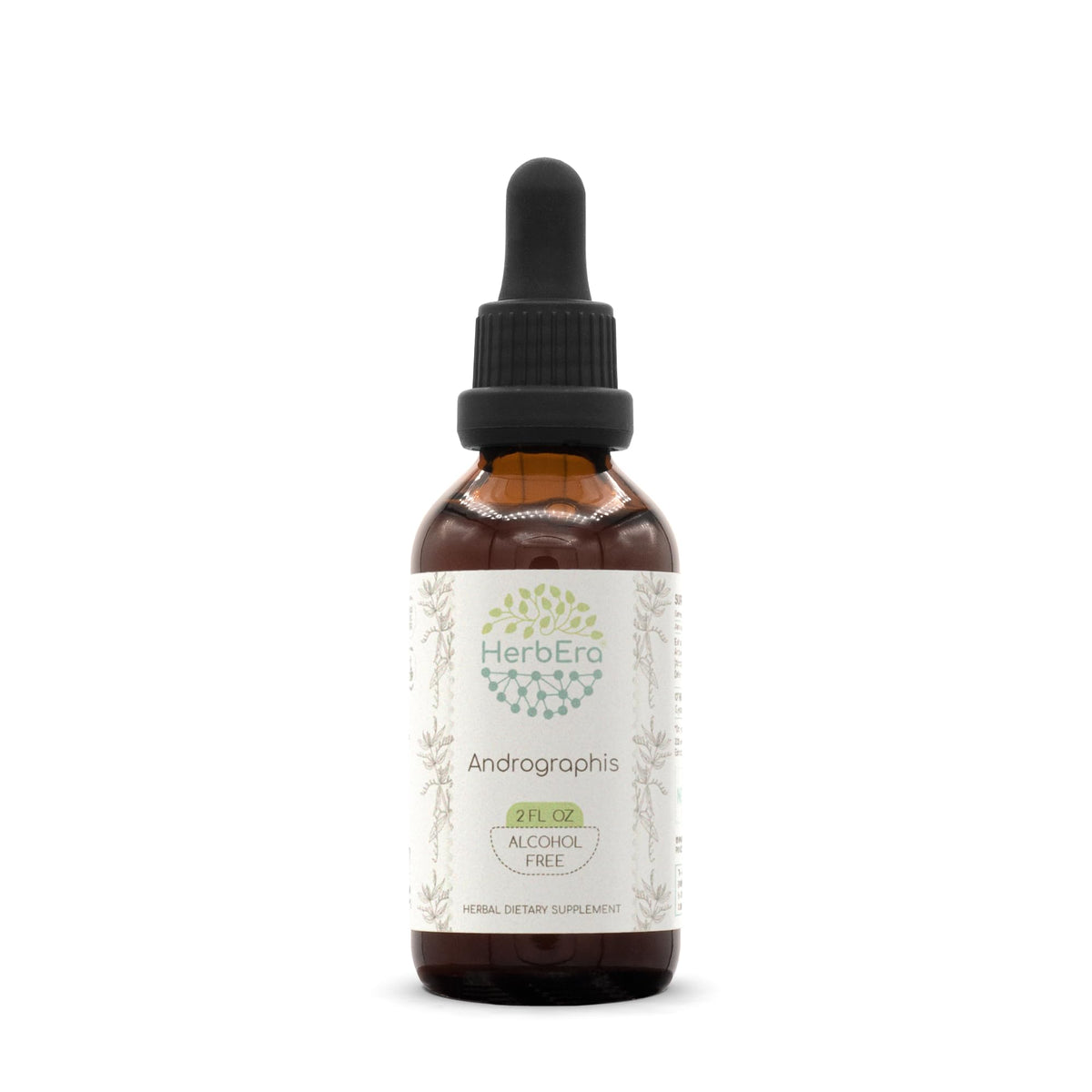 HerbEra Andrographis Alcohol-Free Herbal Extract Tincture front view