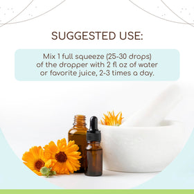 HerbEra Andrographis tincture bottle with dropper