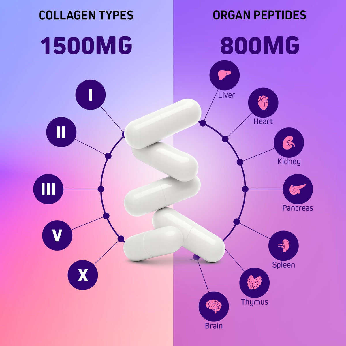 Herbtonics Multi Collagen + Organ Complex Capsules nutritional information