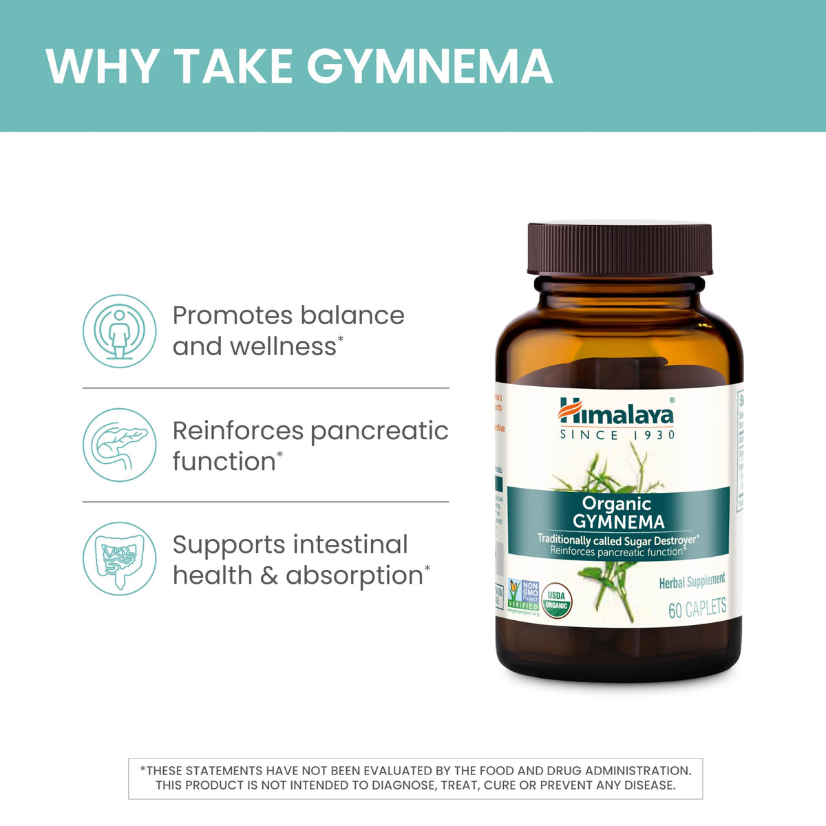 Himalaya Gymnema Sylvestre Extract 700mg 2 pack display
