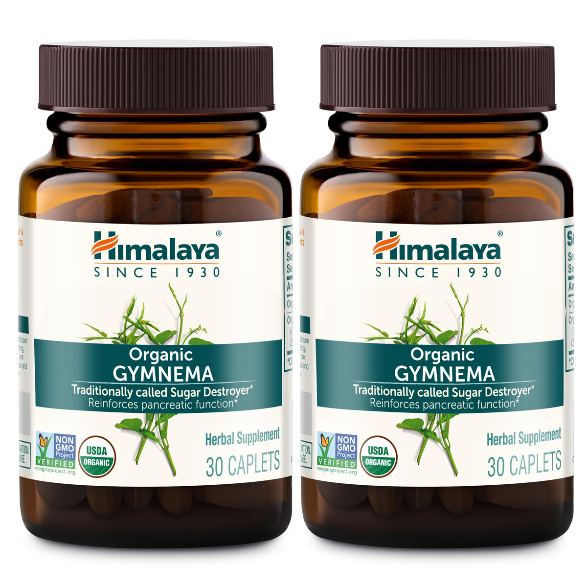 Himalaya Gymnema Sylvestre Extract 700mg 60 Caplets front view