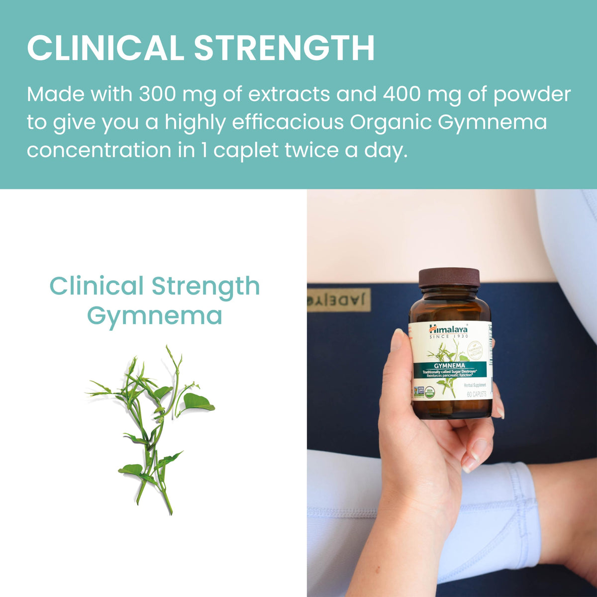 Himalaya Gymnema Sylvestre Extract 700mg with Ayurvedic herbs