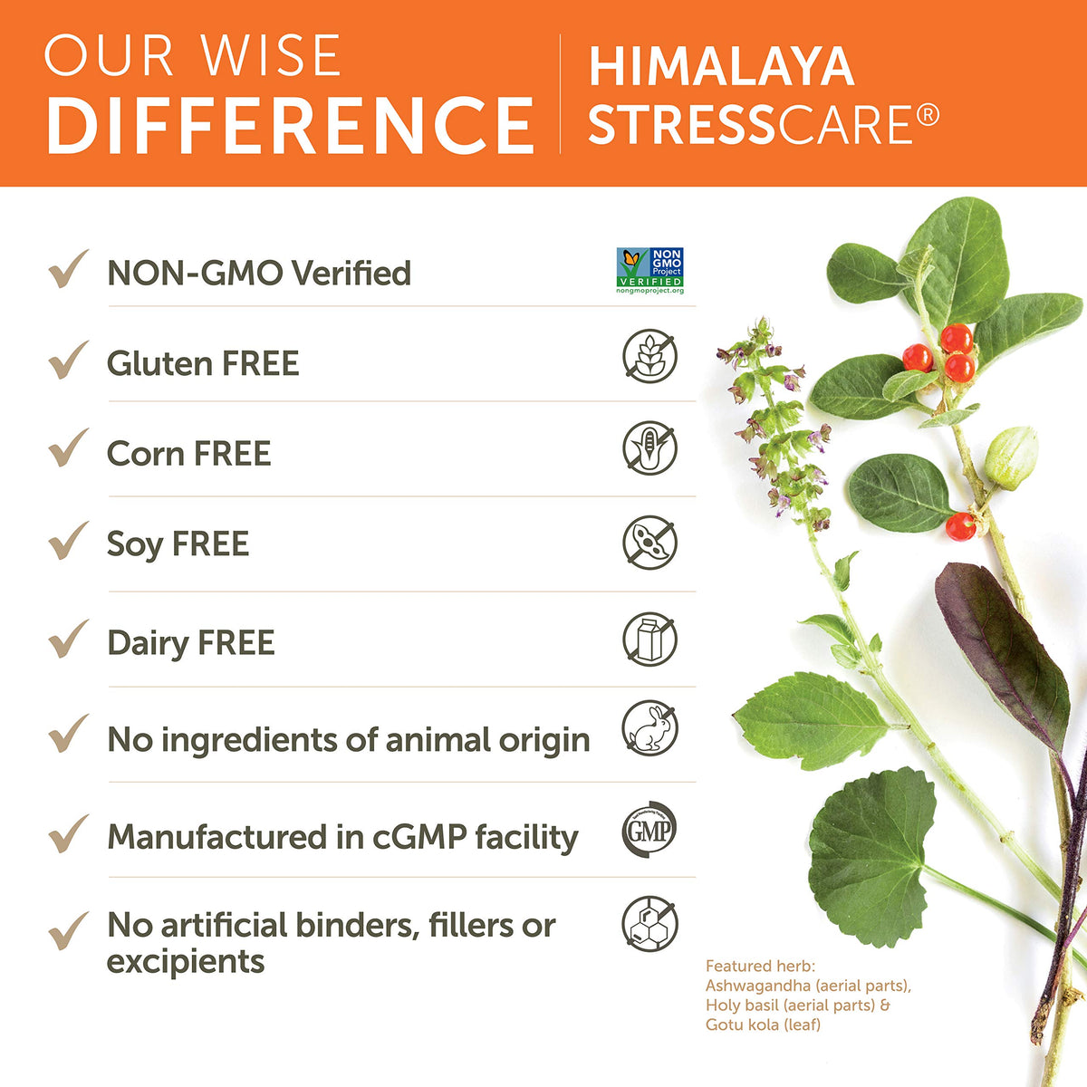 Himalaya StressCare Herbal Supplement ingredients list