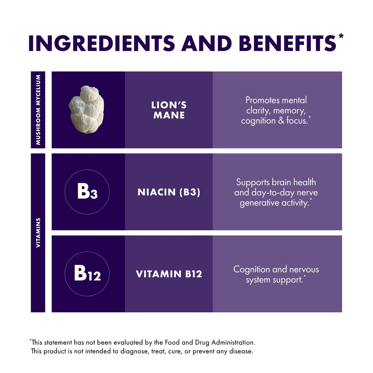 Host Defense BrainPower Stack Powder 100g lifestyle scene